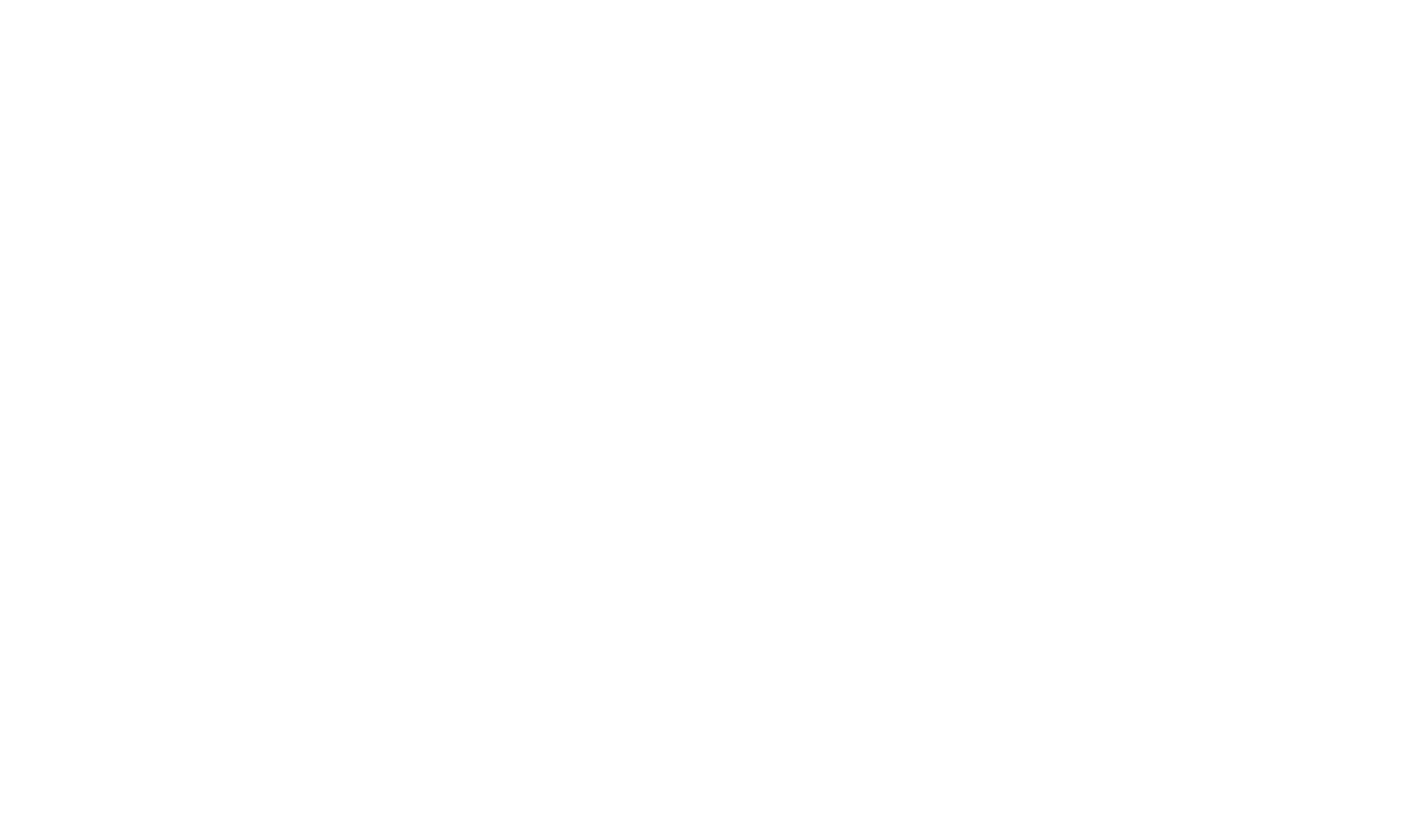 INTREN logo