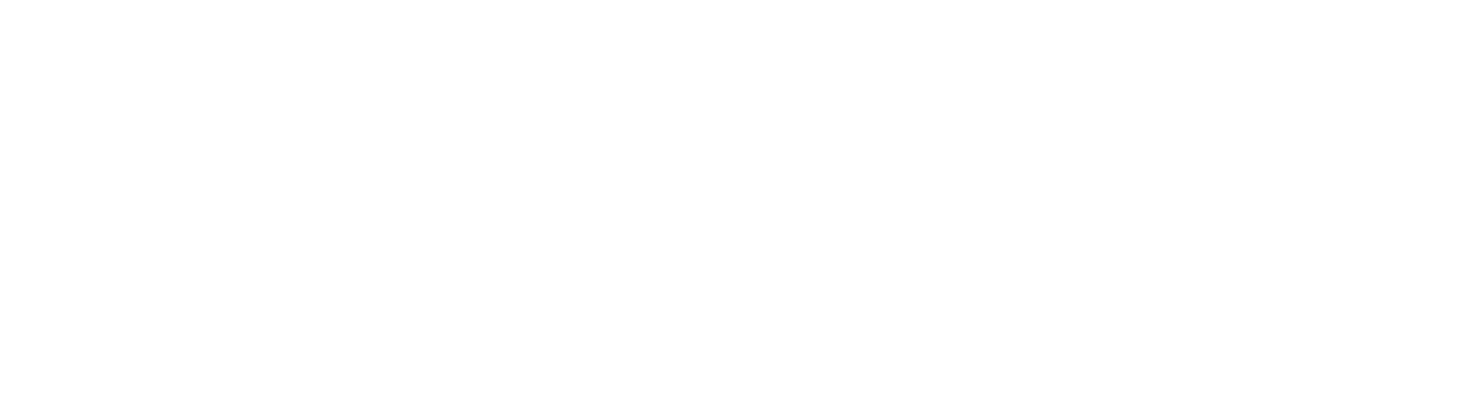 White Construction logo